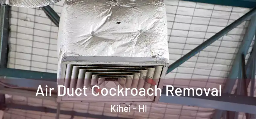  Air Duct Cockroach Removal Kihei - HI