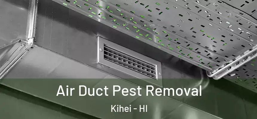  Air Duct Pest Removal Kihei - HI