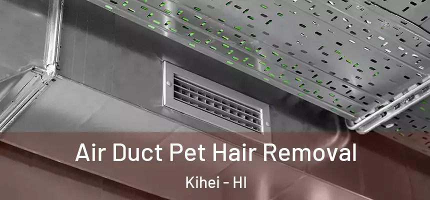  Air Duct Pet Hair Removal Kihei - HI