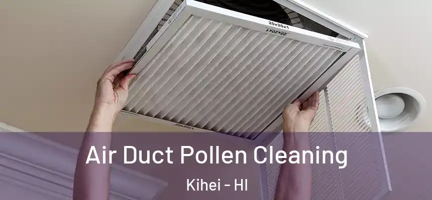  Air Duct Pollen Cleaning Kihei - HI