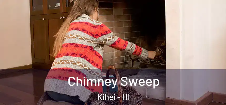  Chimney Sweep Kihei - HI