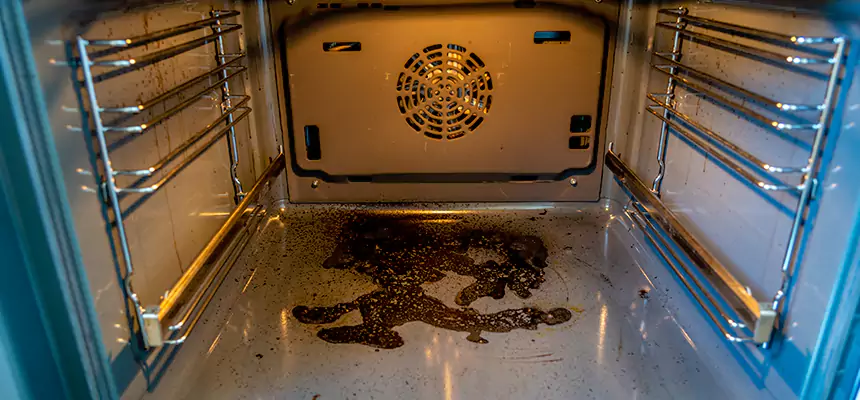 Our Dryer Vent Mold Cleaning Services in Kihei, HI