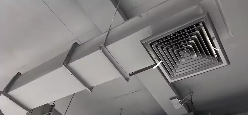 Our Pest Removal From Ducts Services in Kihei, HI