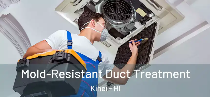  Mold-Resistant Duct Treatment Kihei - HI