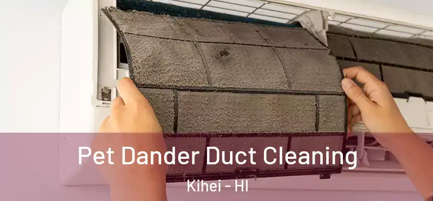  Pet Dander Duct Cleaning Kihei - HI