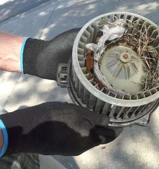 About Air Duct Rat Removal in Kihei, HI