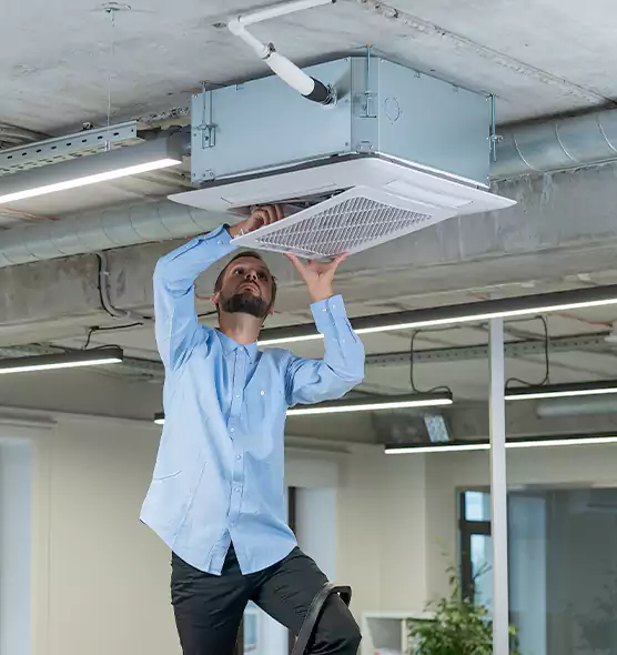 Advanced Rodent Droppings In Vents in Kihei, HI