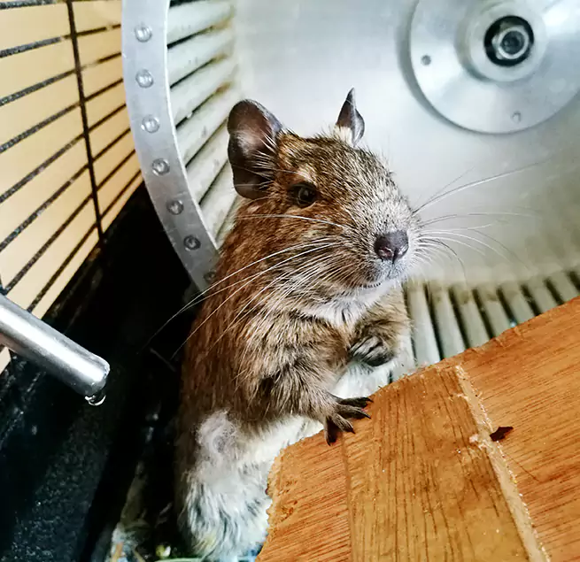 Why Homeowners & Businesses Trust Us Kihei, HI?