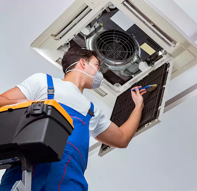 Why Homeowners & Businesses Trust Us in Kihei, HI?