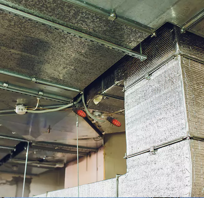 Why Homeowners & Businesses Trust Us Kihei, HI?