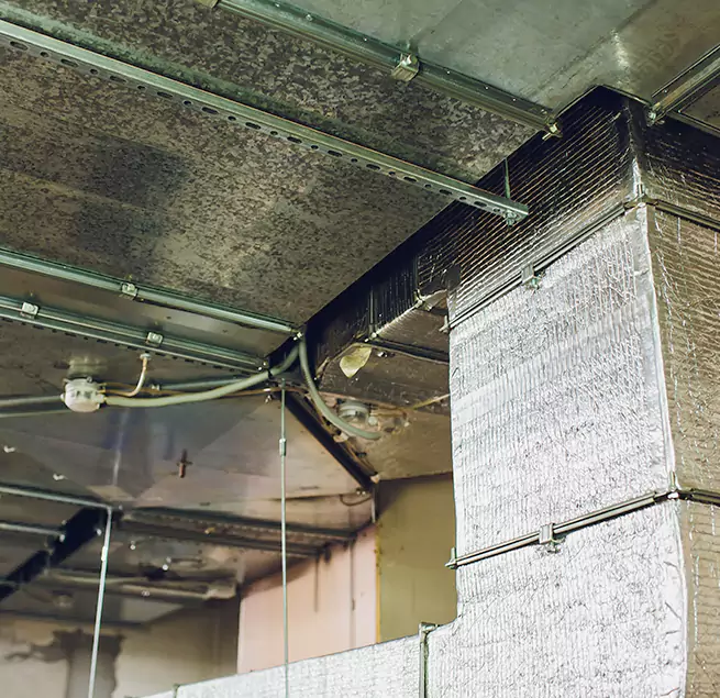 Why Homeowners & Businesses Trust Us in Kihei, HI?