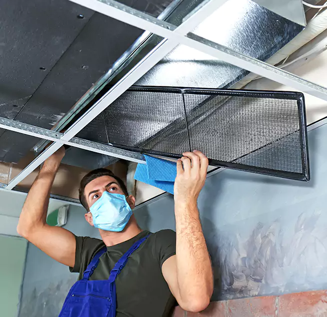 Why Homeowners & Businesses Trust Us in Kihei, HI?