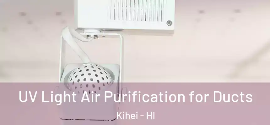  UV Light Air Purification for Ducts Kihei - HI